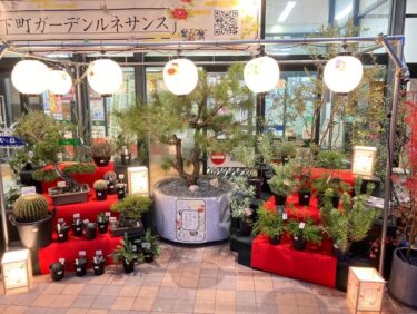 アグロガーデン神戸駒ヶ林店「下町ガーデンルネサンス」開催