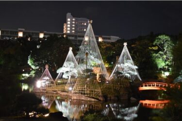 幕張新都心の日本庭園で夜間のライトアップ開催