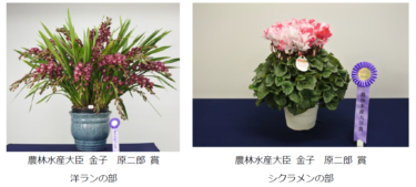 東京砧花き園芸市場「第21回東京砧花き全国品評会」を開催