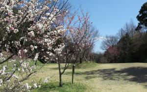 愛知県森林公園植物園、2月のイベント情報を発表