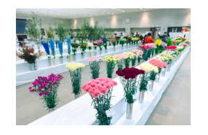 香川県産の花きがたくさん「フラワーフェスティバルかがわ 2022」開催