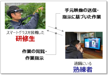 富山県が実証実験「ARを活用した農業遠隔研修」を実施