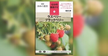 「NHK趣味の園芸 12か月栽培ナビ（18）ラズベリー ブラックベリー」発売