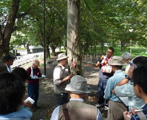日本緑化センター「 樹木と緑化の総合技術講座（後期）」参加者を募集