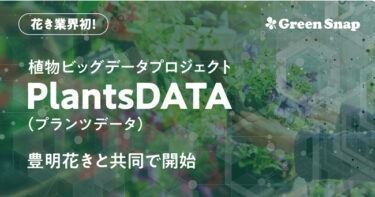 GreenSnap×豊明花き「PlantsDATA」プロジェクト始動