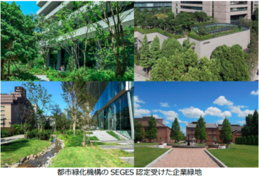 都市緑化機構×積水ハウス 企業緑地の生物多様性評価の視点を強化
