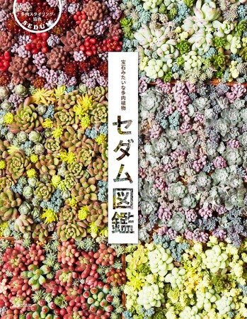 日本国内で流通する160品種を収録『宝石みたいな多肉植物セダム図鑑』発売