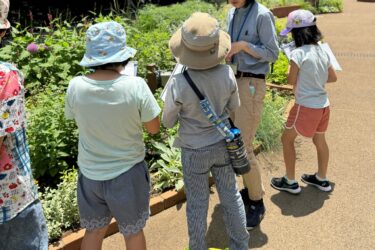 第一園芸、練馬区立四季の香ローズガーデン「こどもエコクラブ」を支援