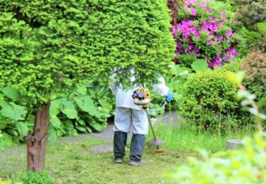 庭師の仕事内容を徹底解説！庭師以外に植物と関われる仕事も紹介！