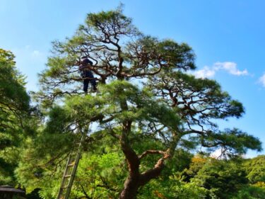 造園技能士の活躍フィールドとは？概要や仕事内容を徹底解説