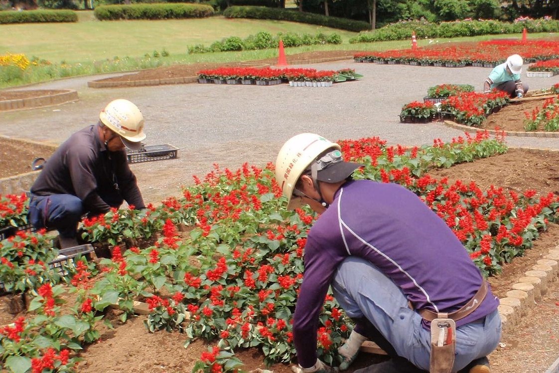興國緑化株式会社の正社員 職人・現場スタッフ 都市緑化・ランドスケープ 公園・公共施設の求人情報イメージ2