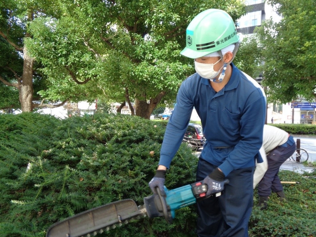 東光園緑化株式会社 関西支店の正社員 職人・現場スタッフ 都市緑化・ランドスケープ 外構・エクステリア お庭・植木 公園・公共施設の求人情報イメージ1