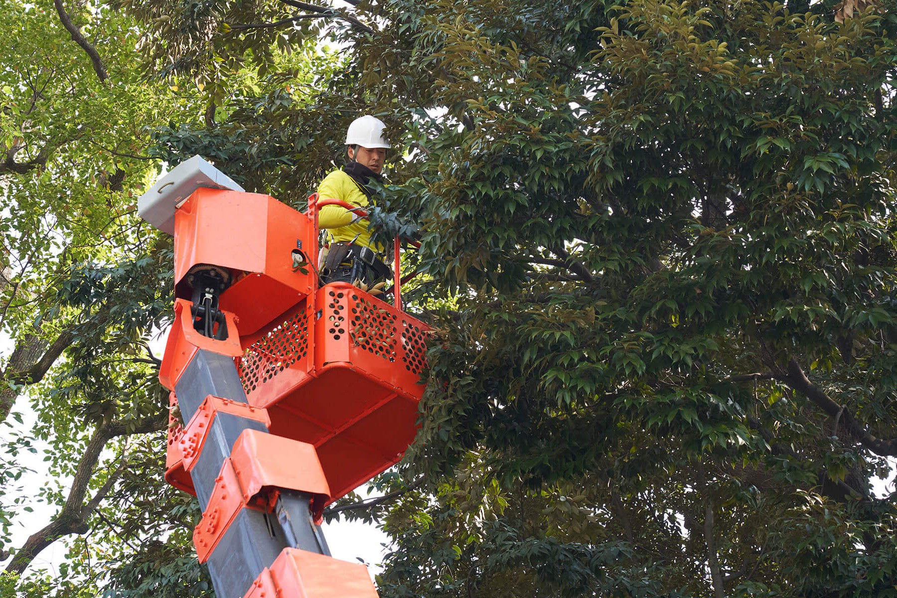 株式会社双葉苑の正社員 職人・現場スタッフ 都市緑化・ランドスケープ 公園・公共施設の求人情報イメージ3