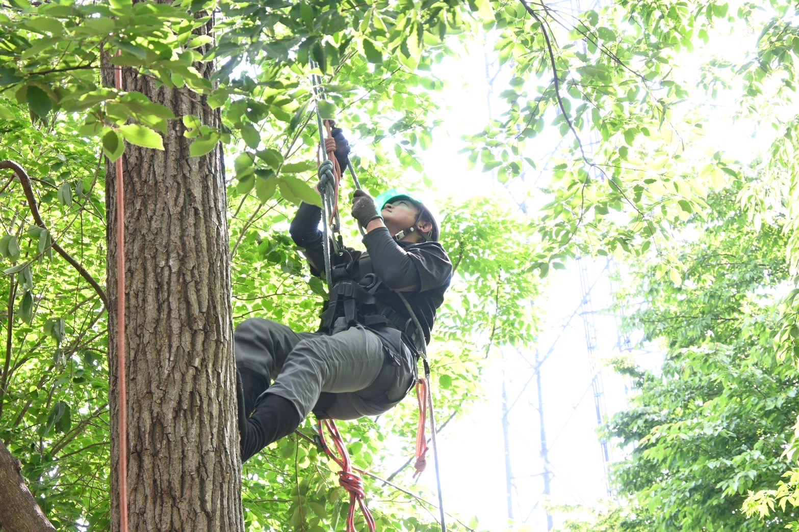 吉村造園株式会社のアルバイト・パート 職人・現場スタッフ 都市緑化・ランドスケープ 公園・公共施設求人イメージ