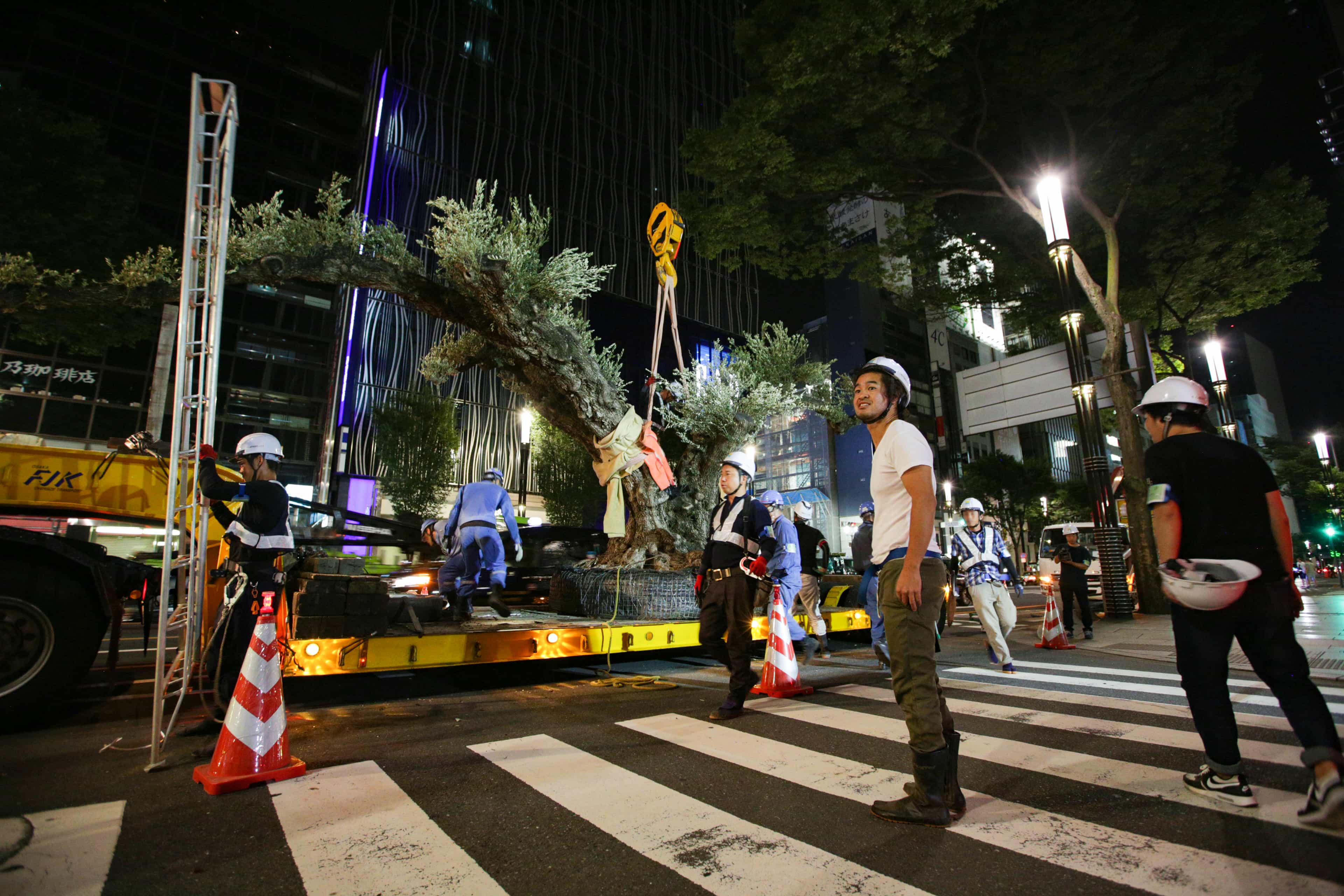 そら植物園株式会社 大阪事務所の正社員 施工管理（工事） 職人・現場スタッフ 都市緑化・ランドスケープ お庭・植木の求人情報イメージ1