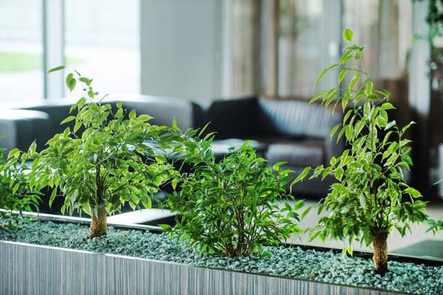 株式会社石勝エクステリア 横浜業務センターの正社員 営業・企画 その他 屋内緑化の求人情報イメージ1