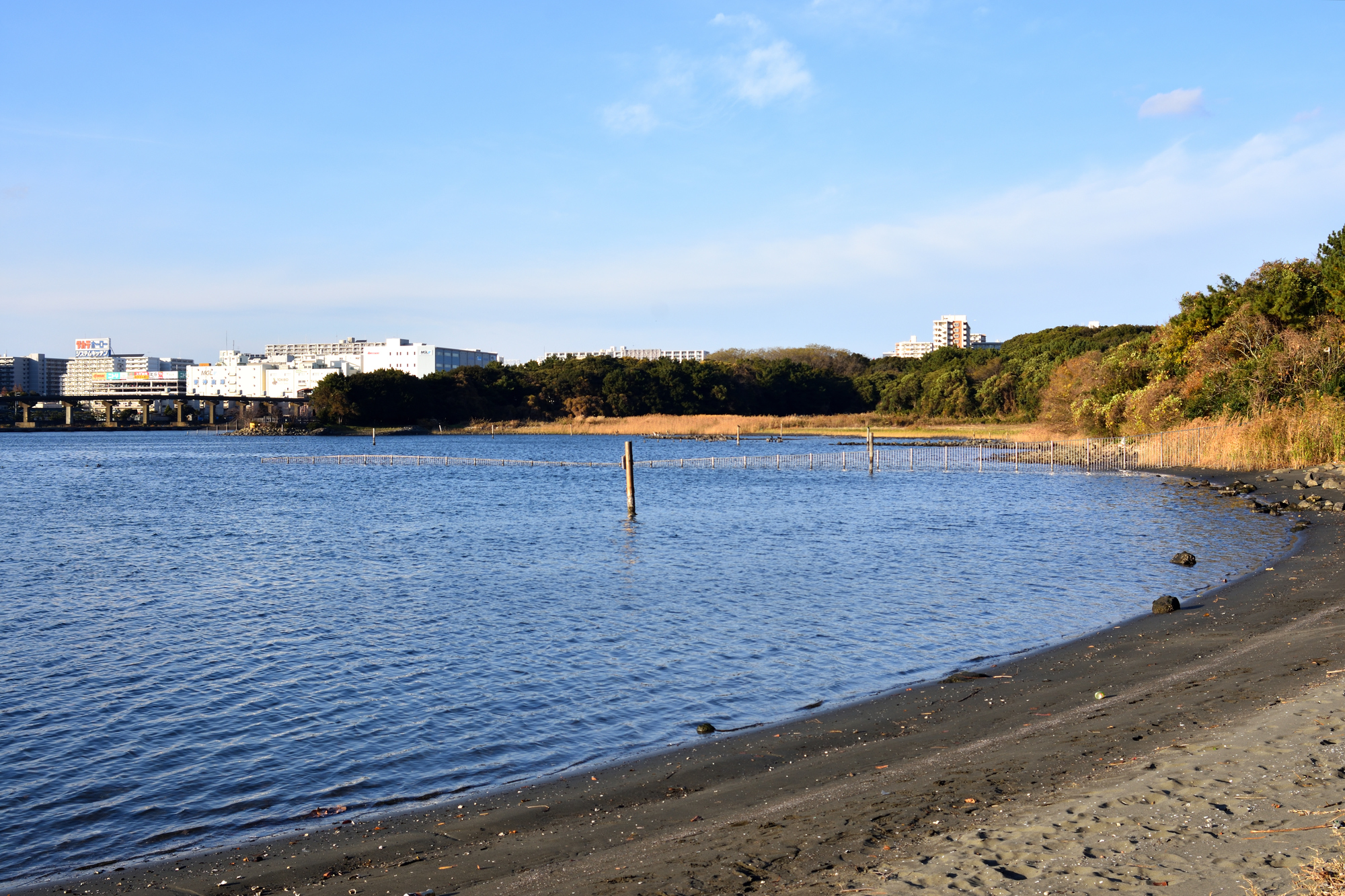 西武造園株式会社 都立大井ふ頭中央海浜公園なぎさの森の契約社員 公園・施設管理 事務 公園・公共施設求人イメージ