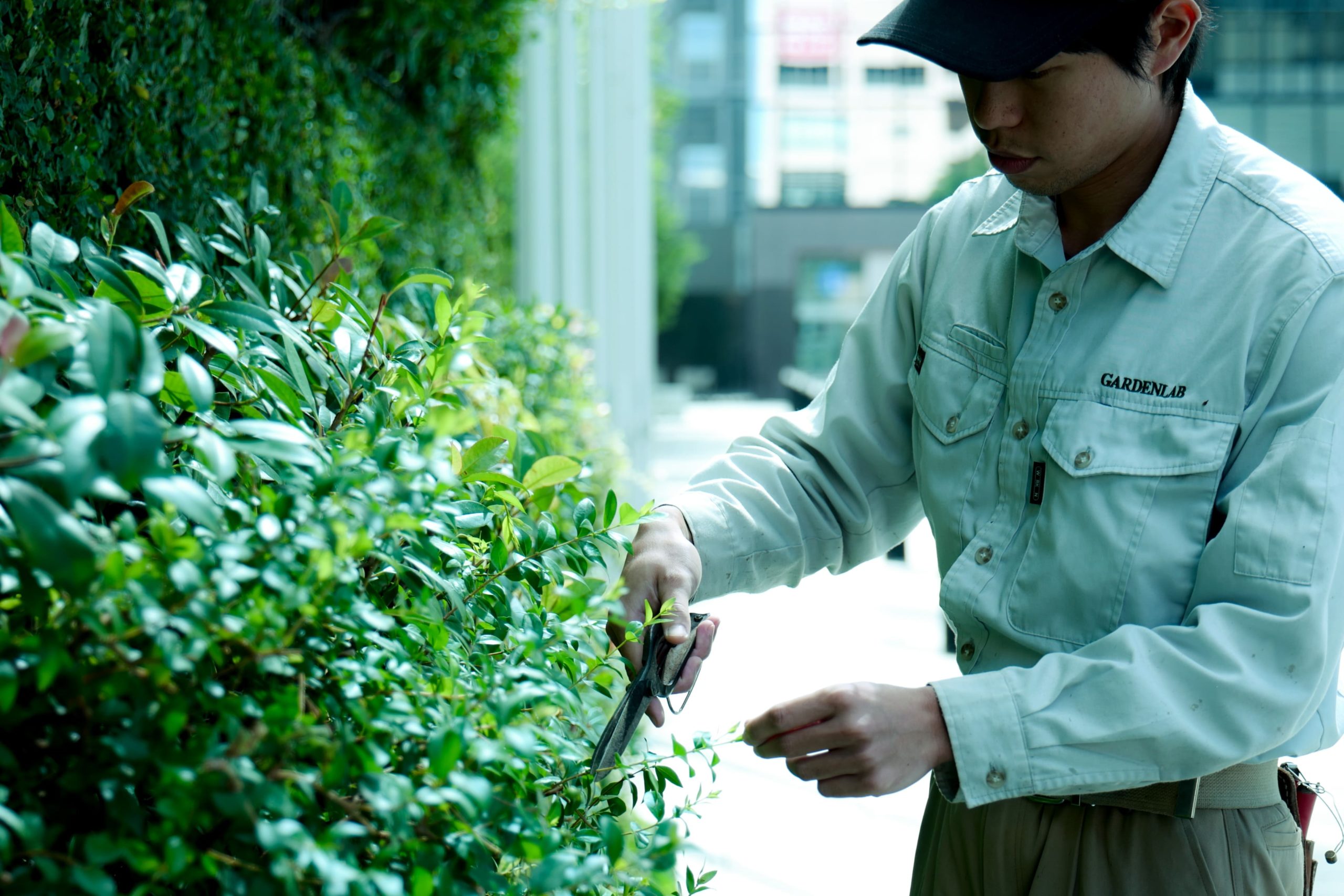株式会社ガーデンラボの正社員 職人・現場スタッフ 公園・施設管理 都市緑化・ランドスケープ お庭・植木 公園・公共施設求人イメージ