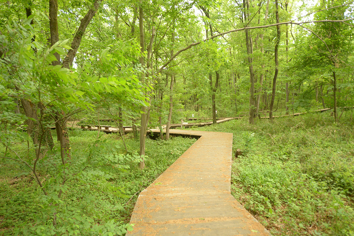 西武造園株式会社 小宮公園の契約社員 公園・施設管理 公園・公共施設求人イメージ
