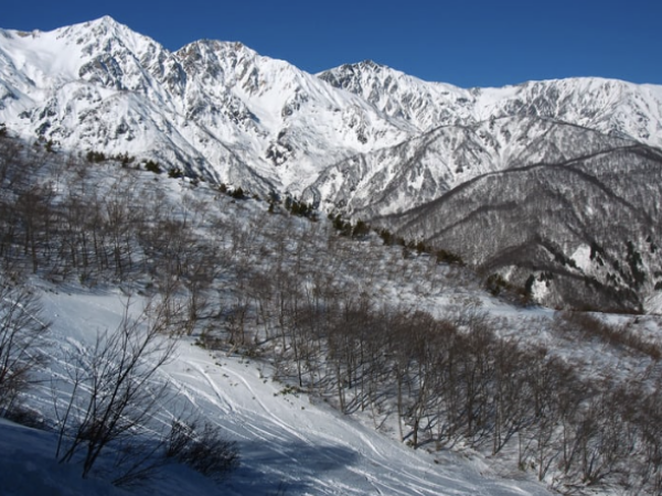 Kaze合同会社の正社員 職人・現場スタッフ 公園・施設管理 その他 公園・公共施設の求人情報イメージ1