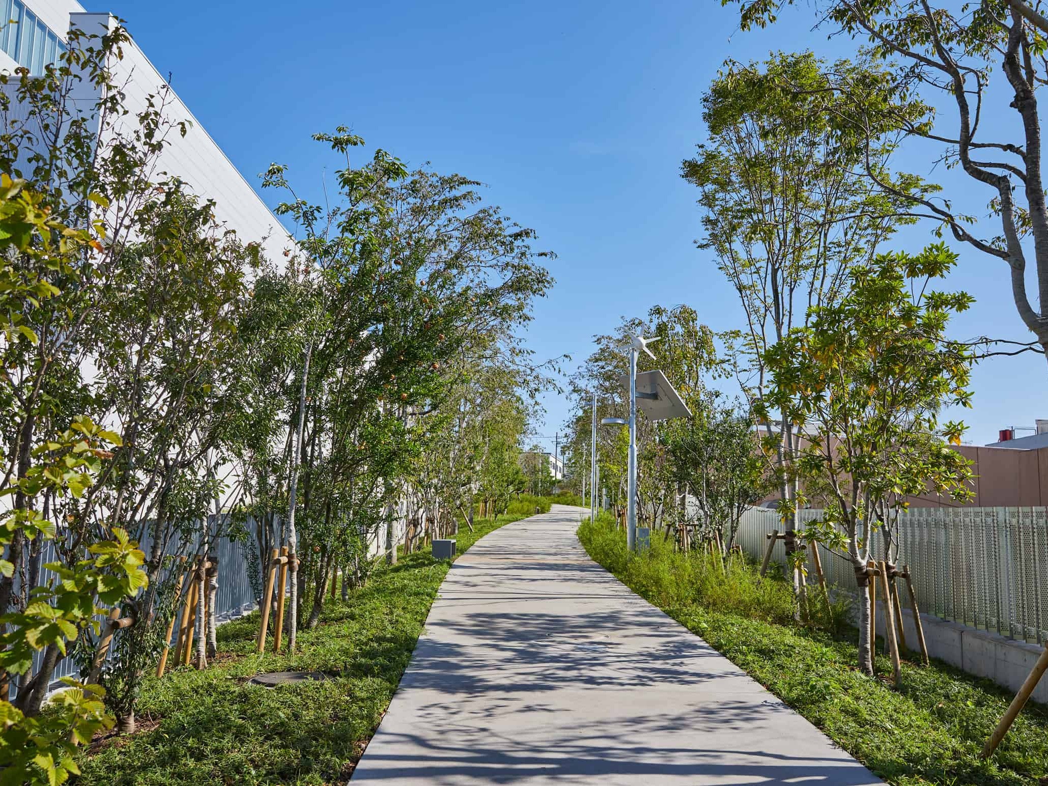 西武緑化管理株式会社 東京営業所の契約社員 施工管理（工事） 現場管理（維持管理） 都市緑化・ランドスケープ 屋上・壁面緑化 公園・公共施設の求人情報イメージ3