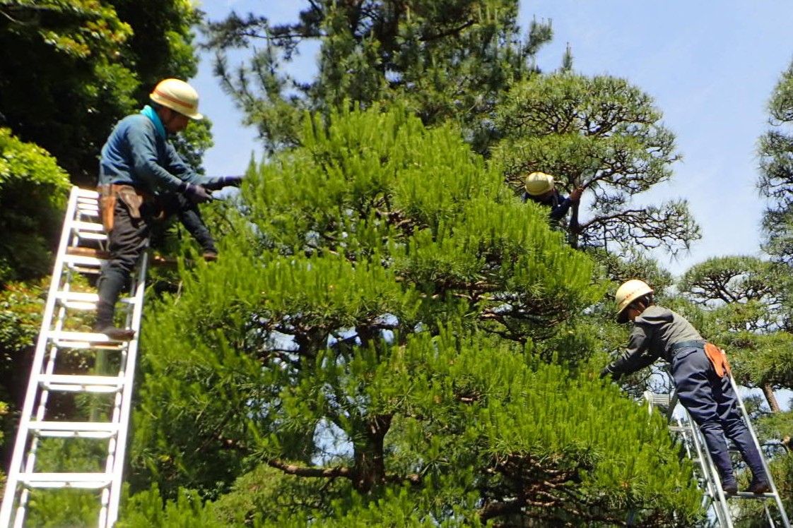 興國緑化株式会社の正社員 職人・現場スタッフ 都市緑化・ランドスケープ 公園・公共施設求人イメージ