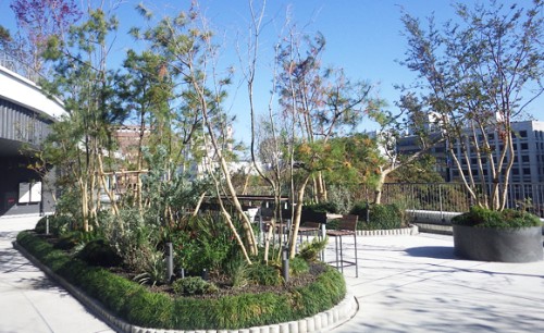 西武造園株式会社 サクラマチクマモトの契約社員 現場管理(維持管理) 都市緑化・ランドスケープ 公園・公共施設求人イメージ