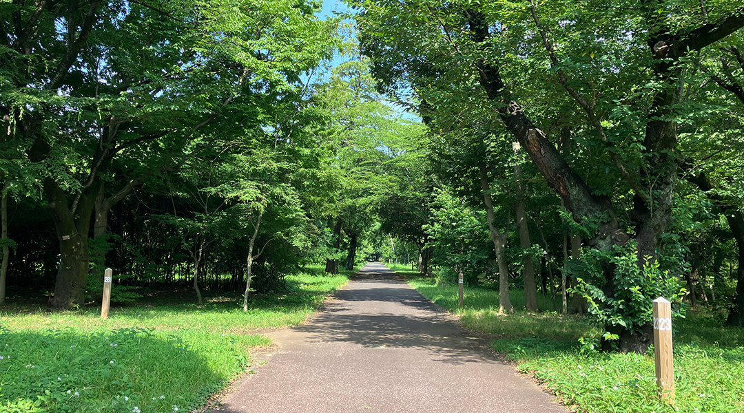 西武造園株式会社 武蔵野公園の契約社員 公園・施設管理 公園・公共施設求人イメージ