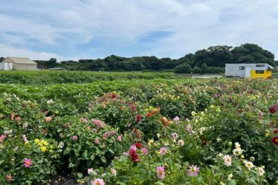 一般社団法人ローランズプラス ローランズファームの正社員 職人・現場スタッフ その他の求人情報イメージ3