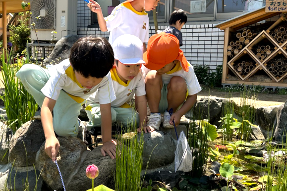 株式会社スマートエデュケーションの正社員 施工管理（工事） 設計・プランナー 営業・企画 外構・エクステリア お庭・植木の求人情報イメージ1