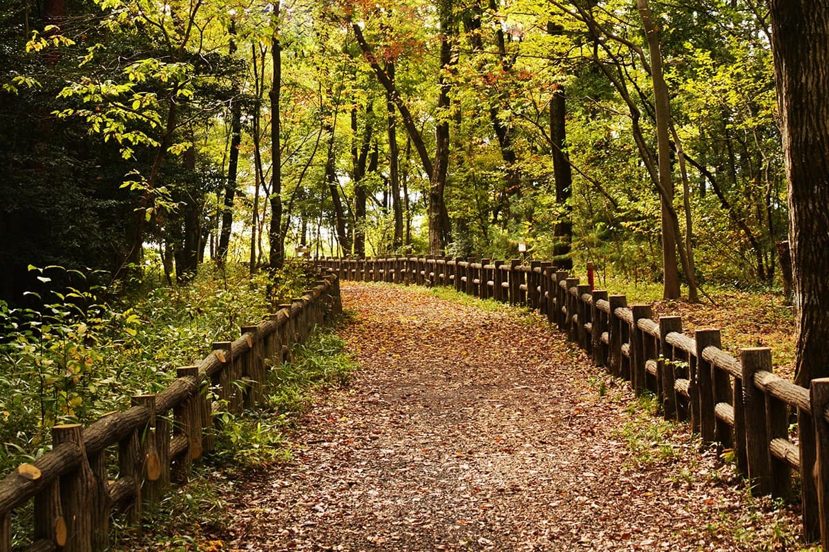 西武造園株式会社 狭山公園の契約社員 公園・施設管理 公園・公共施設の求人情報イメージ1