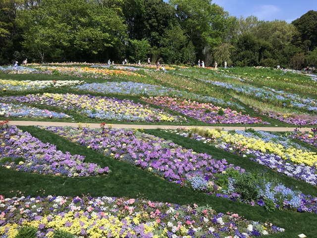 横浜緑地株式会社の契約社員 現場管理（維持管理） 都市緑化・ランドスケープ 公園・公共施設求人イメージ