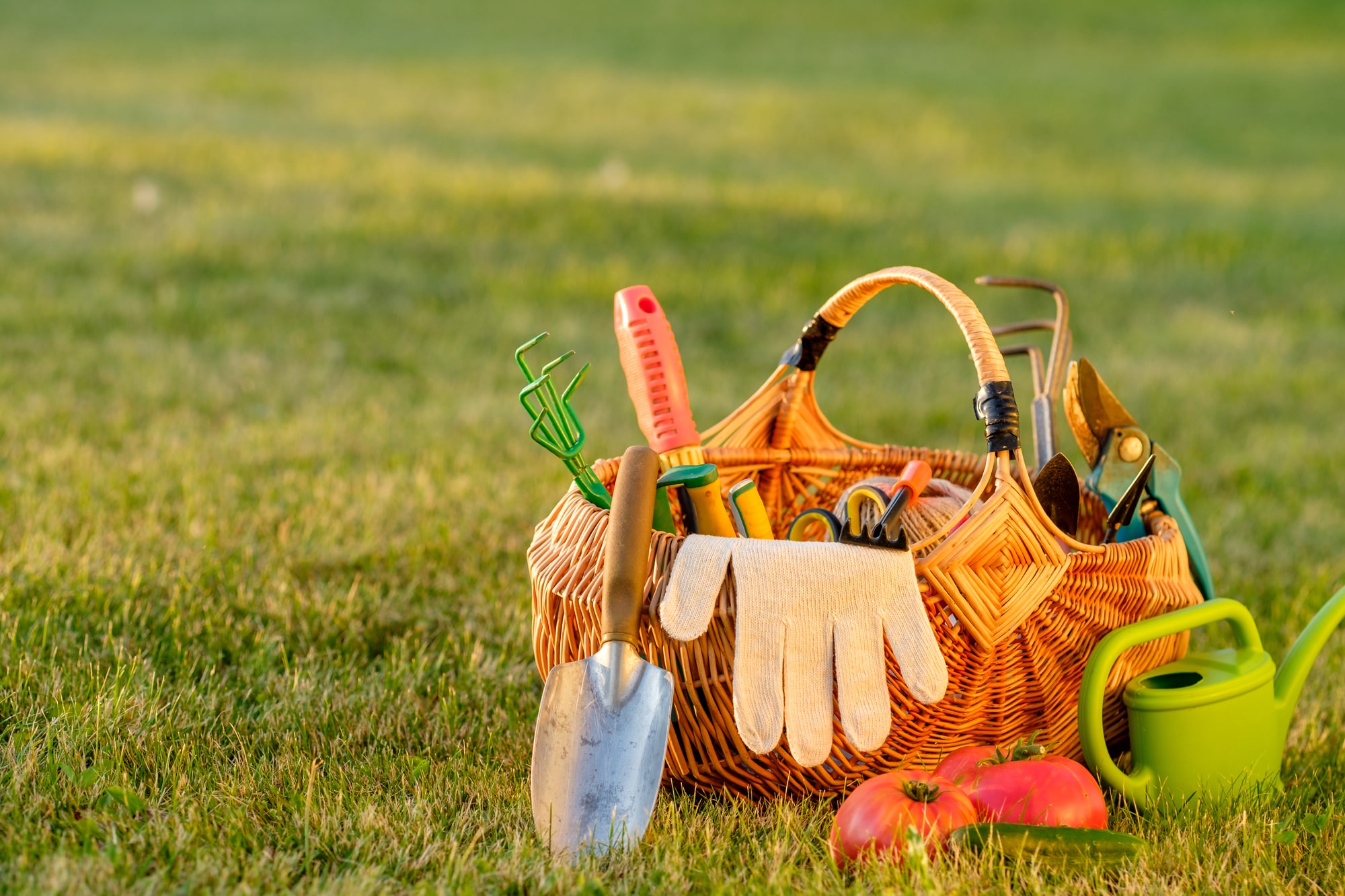 有限会社サニーホライズンの業務委託 職人・現場スタッフ お庭・植木の求人情報イメージ3