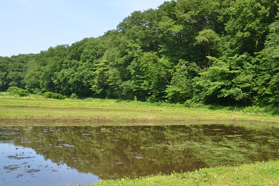 西武造園株式会社 野山北・六道山公園の契約社員 公園・施設管理 公園・公共施設求人イメージ