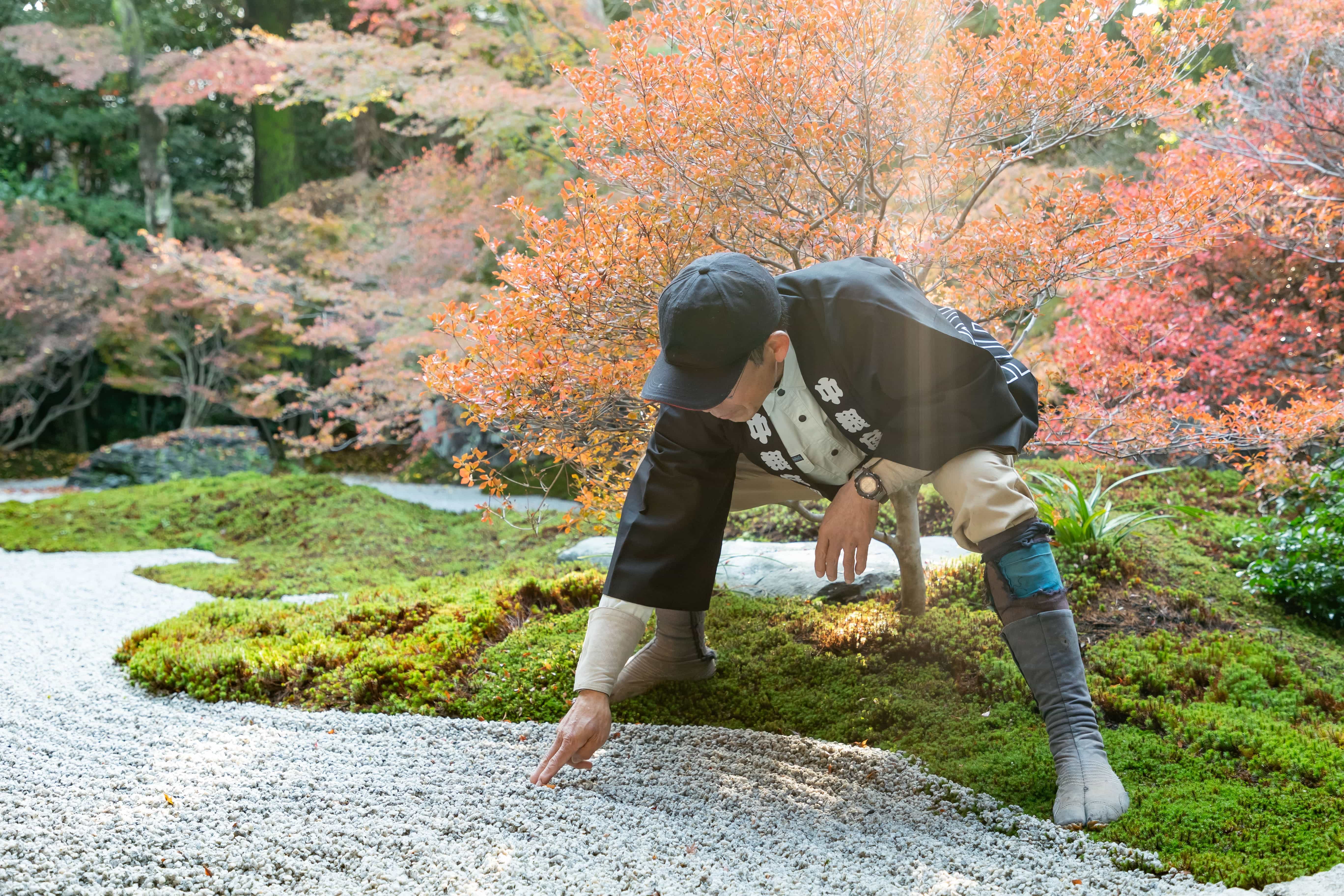 株式会社中根庭園研究所の正社員 職人・現場スタッフ 公園・施設管理 お庭・植木 公園・公共施設の求人情報イメージ4