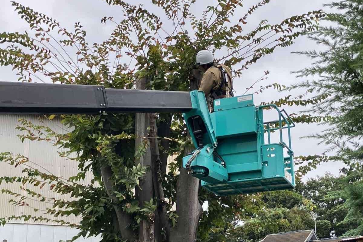 株式会社ワールドインテック 見沼自然公園の正社員 職人・現場スタッフ 公園・施設管理 公園・公共施設の求人情報イメージ2