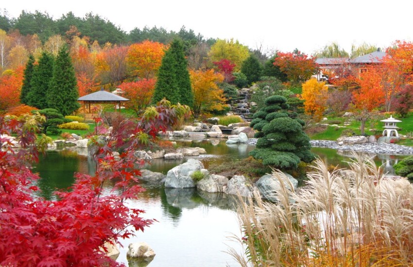 株式会社中根庭園研究所の正社員 職人・現場スタッフ お庭・植木 公園・公共施設求人イメージ