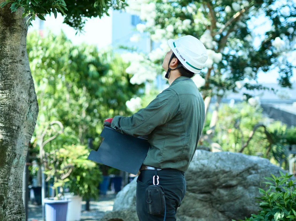 株式会社野沢園の正社員 施工管理（工事） 現場管理（維持管理） 都市緑化・ランドスケープ 公園・公共施設求人イメージ