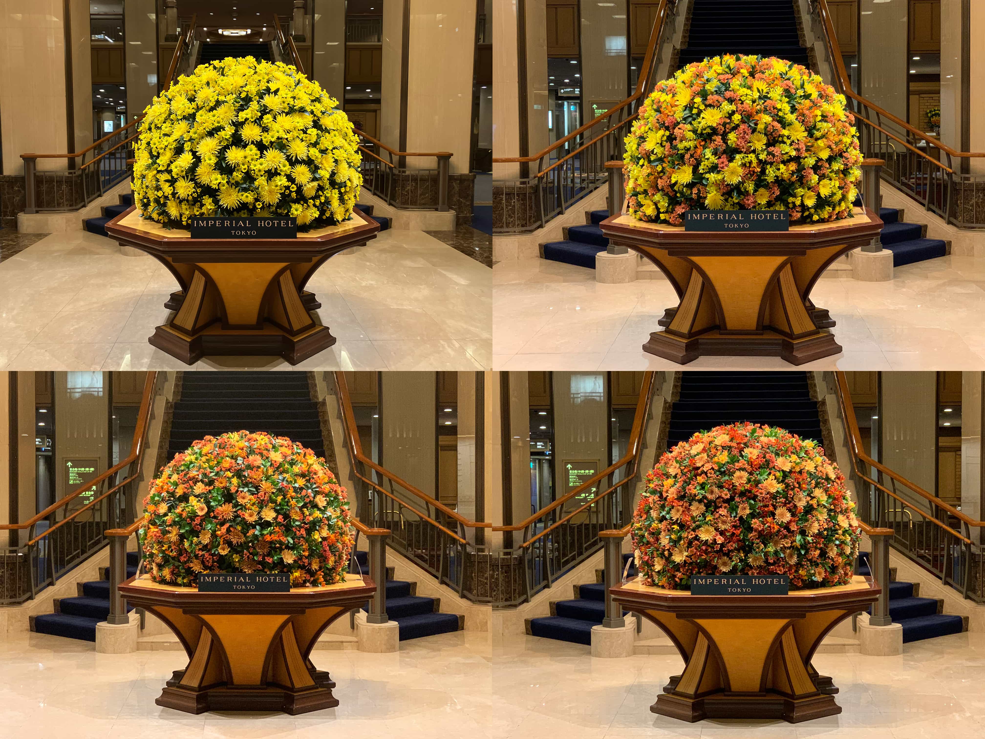 第一園芸株式会社の正社員 設計・プランナー 営業・企画 屋内緑化の求人情報イメージ2