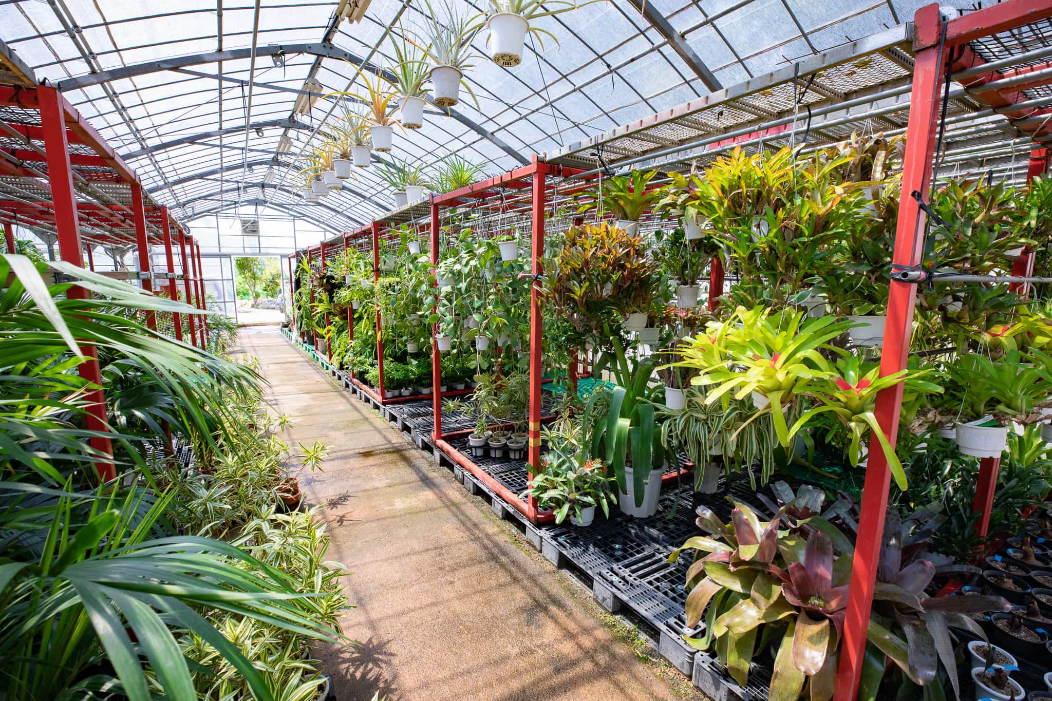 そら植物園株式会社 東京事務所の正社員 職人・現場スタッフ 公園・施設管理 都市緑化・ランドスケープ お庭・植木の求人情報イメージ3