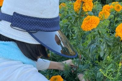 一般社団法人ローランズプラス ローランズファームの正社員 職人・現場スタッフ その他の求人情報イメージ2