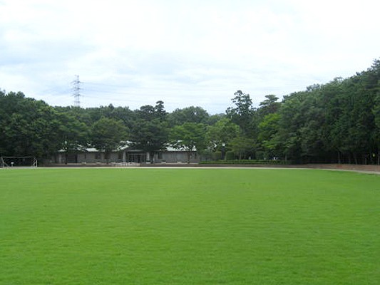 西武緑化管理株式会社 東京営業所の契約社員 施工管理（工事） 現場管理（維持管理） 都市緑化・ランドスケープ 屋上・壁面緑化 公園・公共施設の求人情報イメージ2