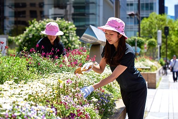 株式会社花門フラワーゲート 三鷹台グリーンハウスの正社員 現場管理（維持管理） 職人・現場スタッフ 外構・エクステリア 屋内緑化の求人情報イメージ2