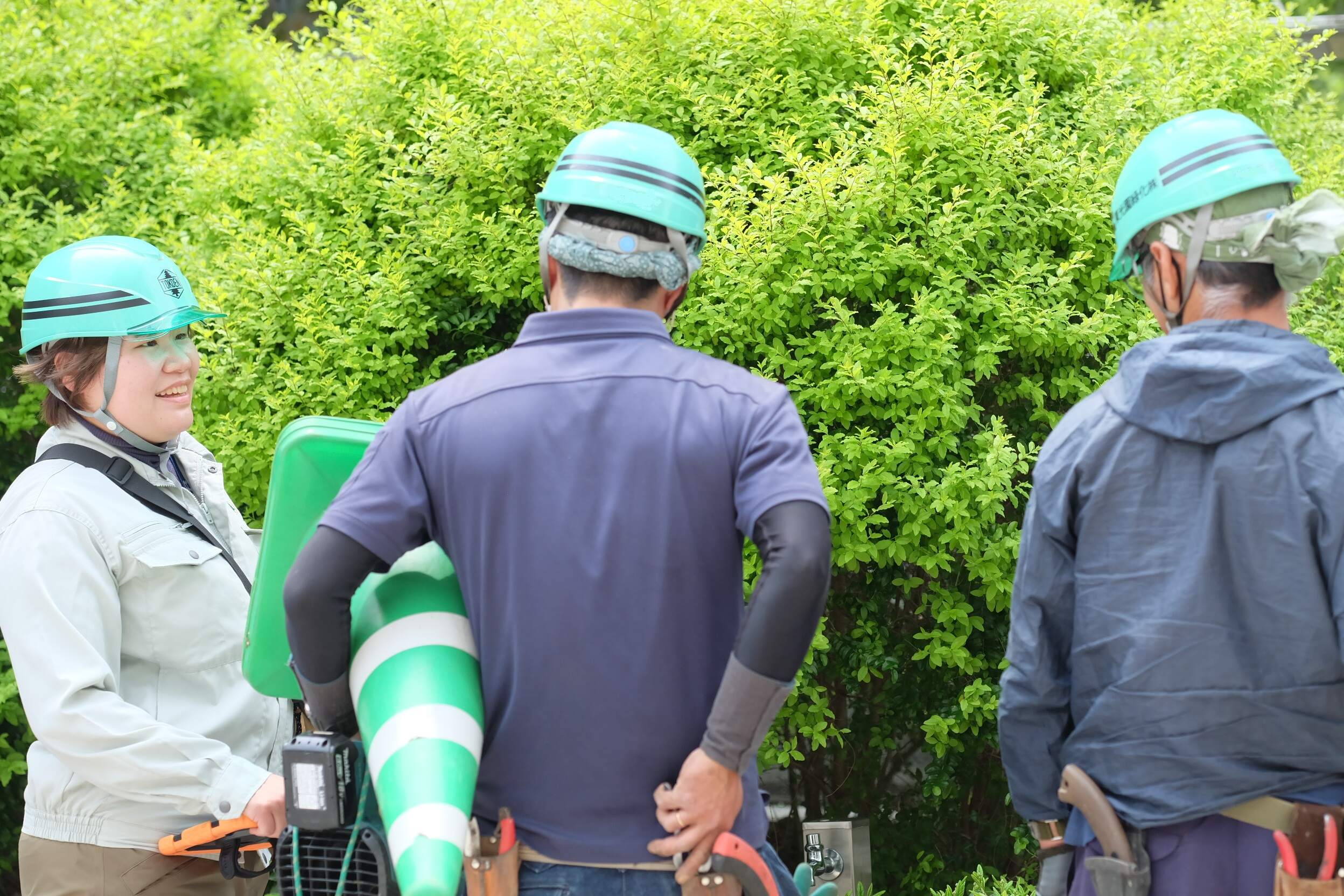 東光園緑化株式会社 本社の正社員 施工管理（工事） 現場管理（維持管理） 都市緑化・ランドスケープ お庭・植木 公園・公共施設の求人情報イメージ1