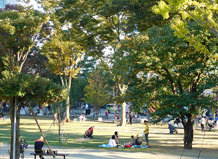 株式会社飛鳥の正社員 施工管理（工事） 都市緑化・ランドスケープ 公園・公共施設求人イメージ