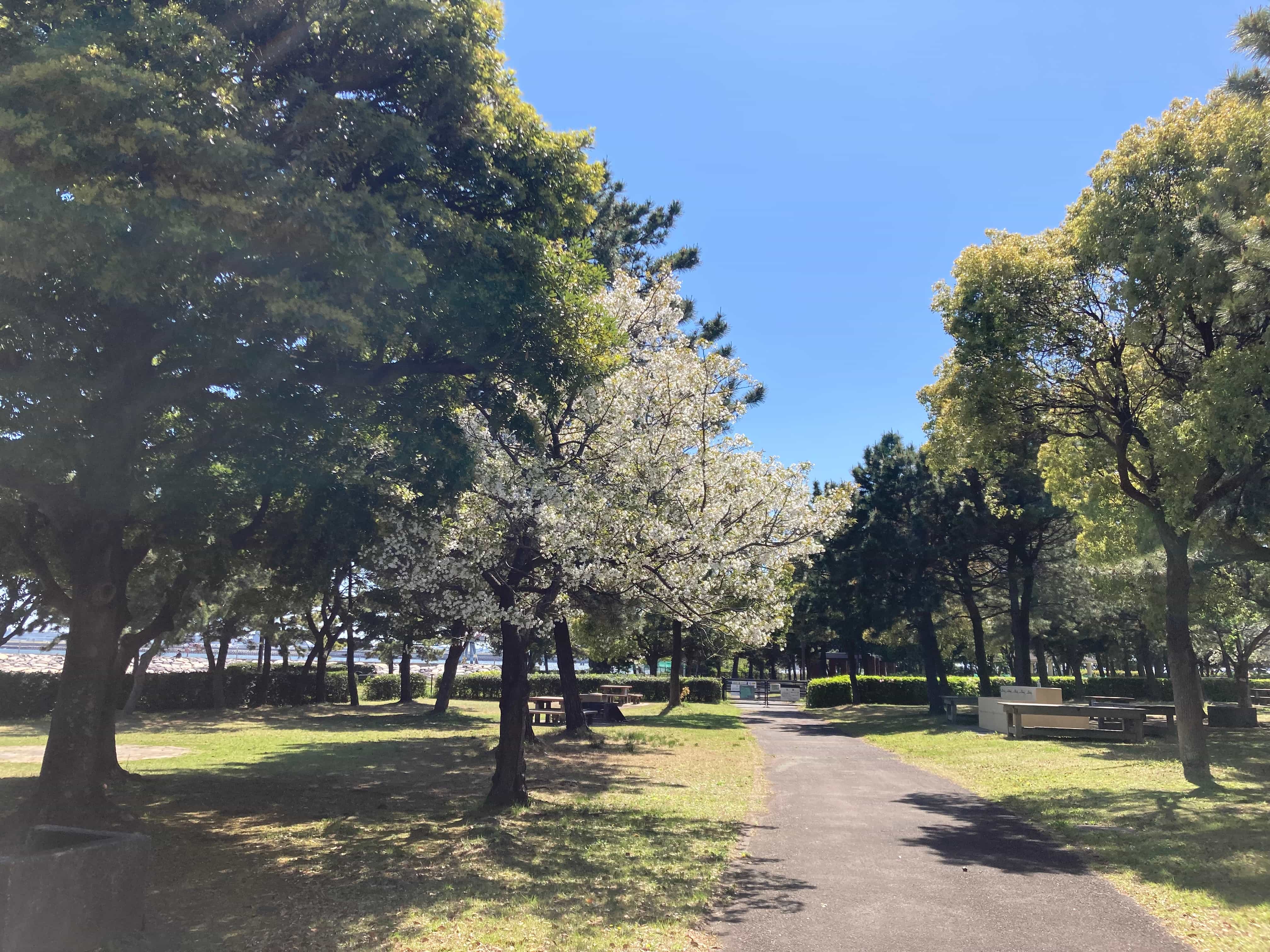 西武造園株式会社 都立城南島海浜公園の契約社員 公園・施設管理 公園・公共施設の求人情報イメージ3