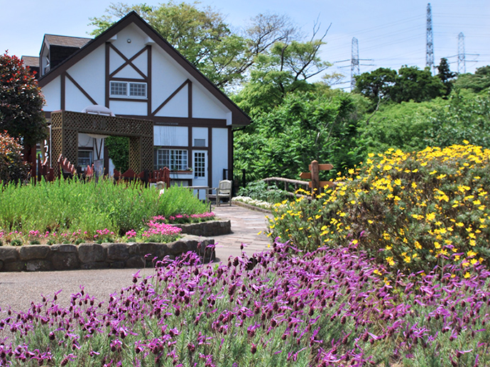 西武造園株式会社 くりはま花の国の契約社員 公園・施設管理 公園・公共施設求人イメージ