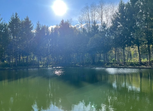 Kaze合同会社の正社員 職人・現場スタッフ 公園・施設管理 その他 公園・公共施設求人イメージ