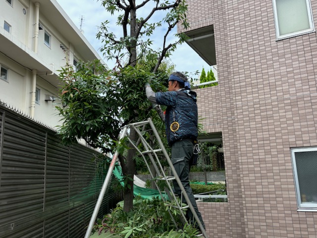 株式会社グリーンクラフトのアルバイト・パート 職人・現場スタッフ お庭・植木 公園・公共施設の求人情報イメージ1