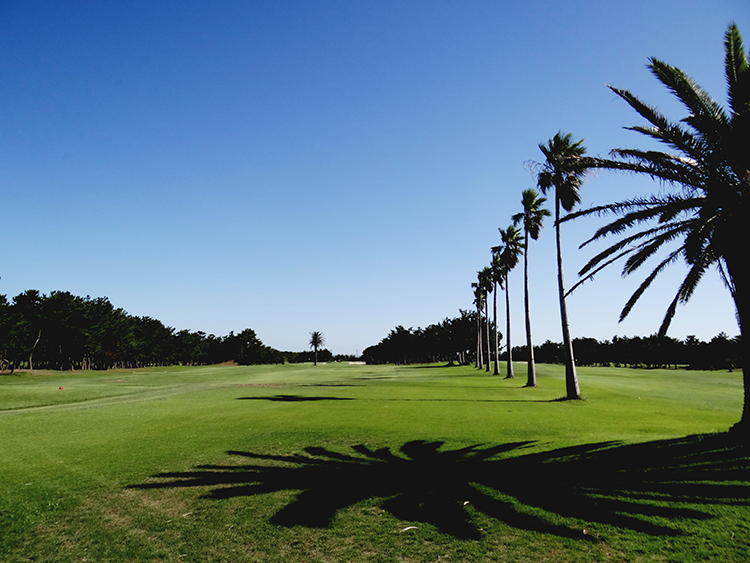 トーシンリゾート株式会社 伊良湖シーサイドゴルフ倶楽部の契約社員 現場管理（維持管理） 職人・現場スタッフ 公園・施設管理 その他 ゴルフ場の求人情報イメージ1